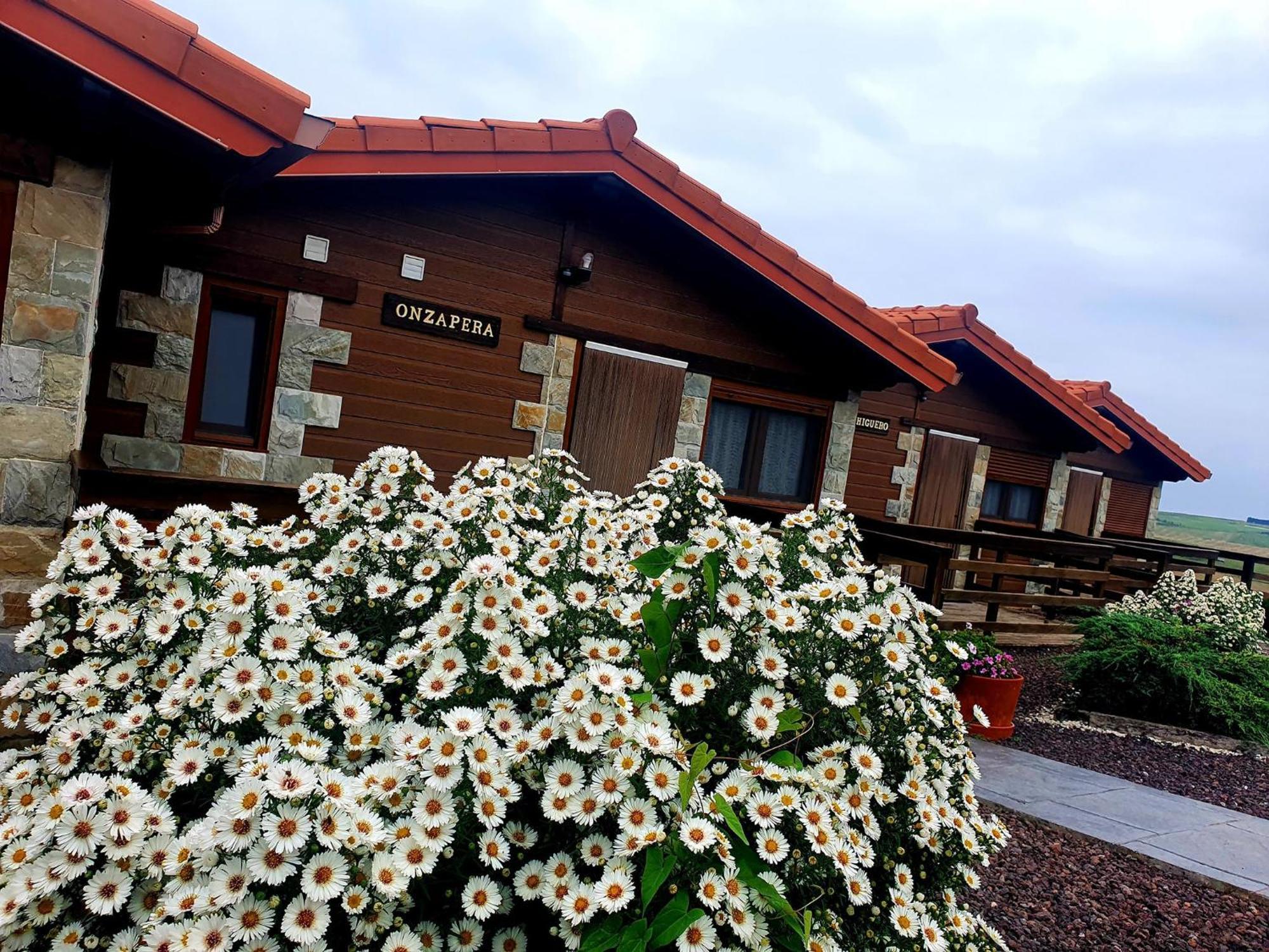 Apartamentos & Bungalows Ubiarco El Acebo By Urbanhosting Dış mekan fotoğraf